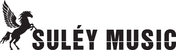 logo suley music